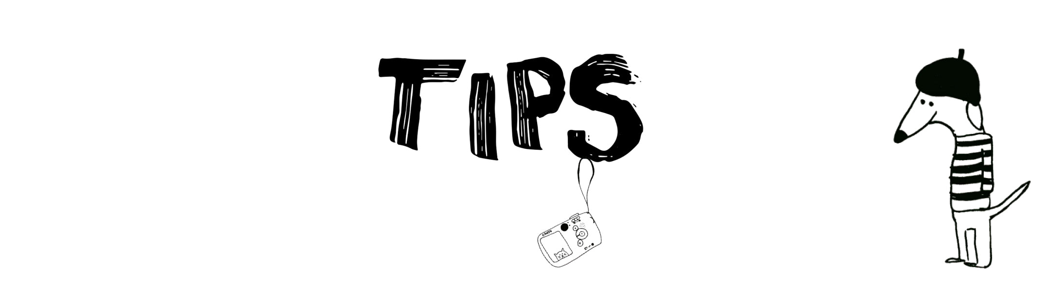 Pilgrim Paris Guide Tips  2160x600 1